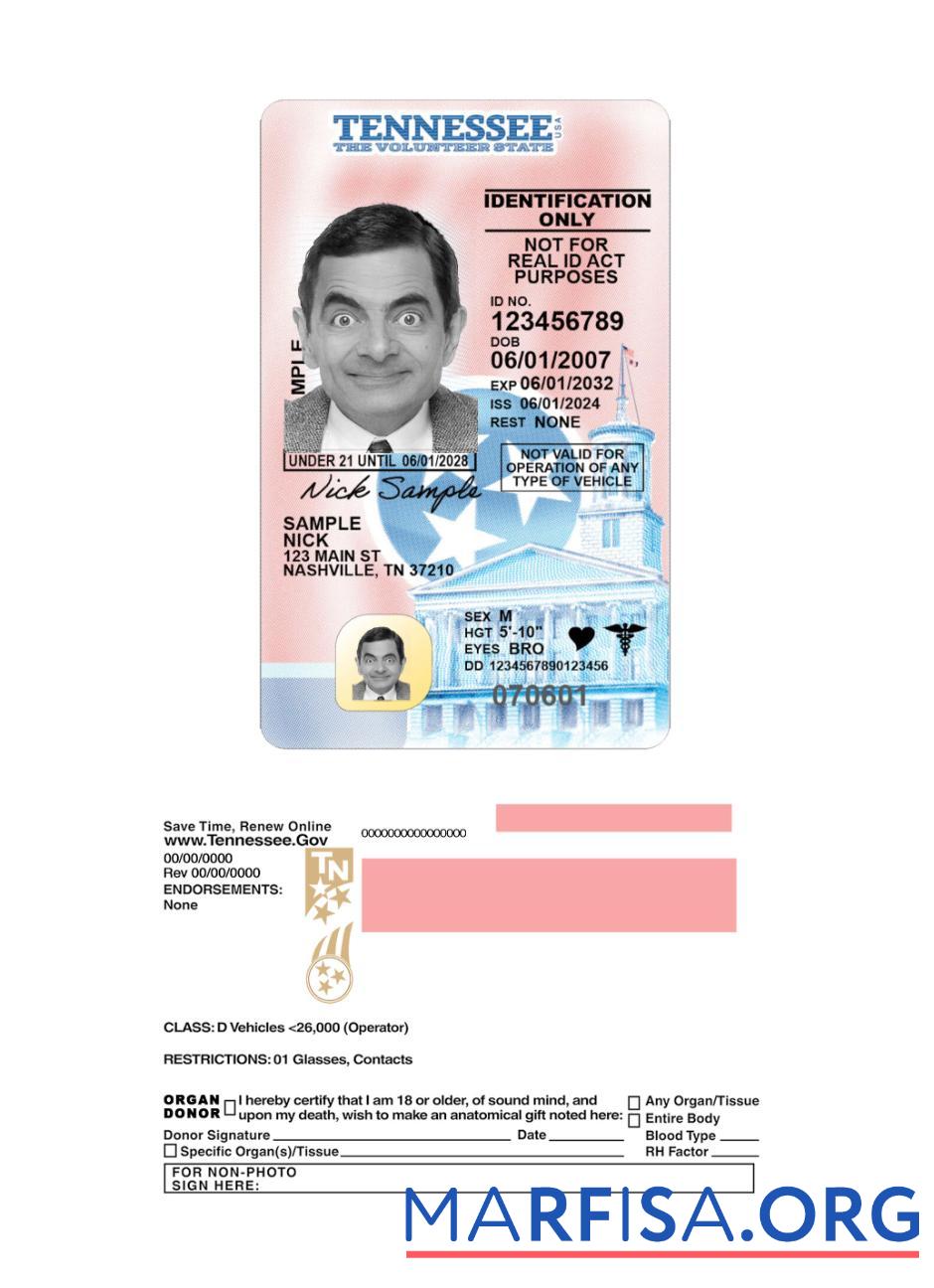 Printable USA Tennessee under 21 driving license 2024 present sample
